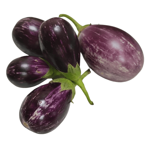 Brinjal Small, 1 Kg