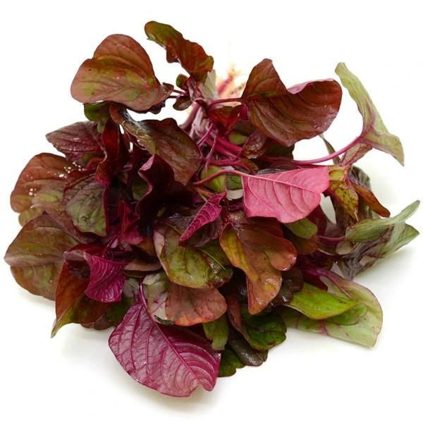 Red Amaranth (Lal Math), 250 gm