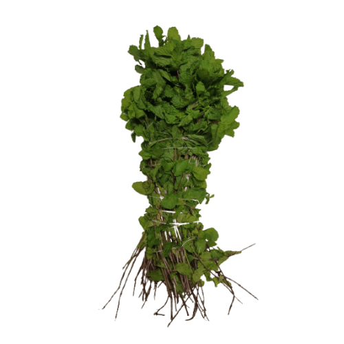Mint Leaves (Pudina), 250 gm