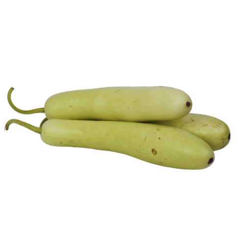 Bottle Gourd (Lauki/Dudhi) Mixed Size, 1 Kg