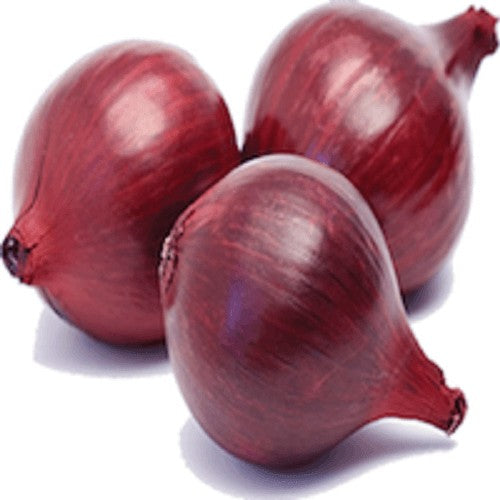 Onion Large (Gola), 10 Kg