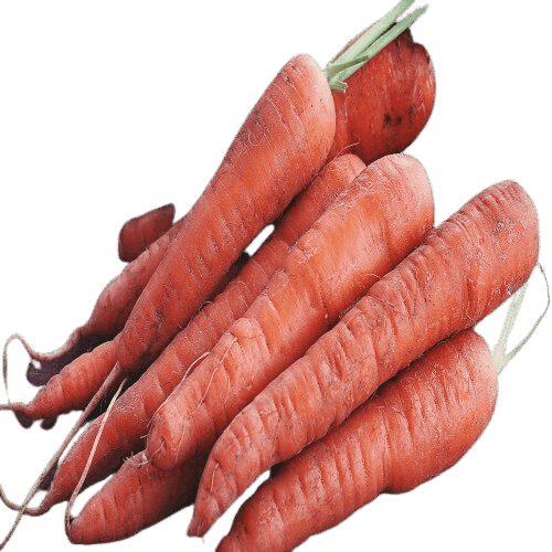 Orange Carrot (Ooty) - Mixed Size, 1 Kg